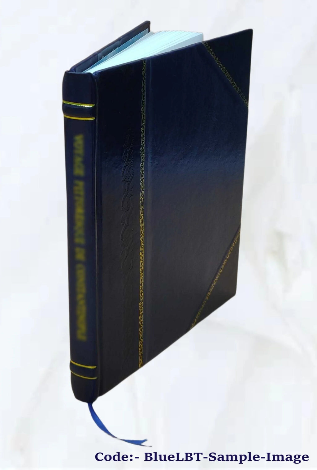 Mathematical essays and recreations B53004