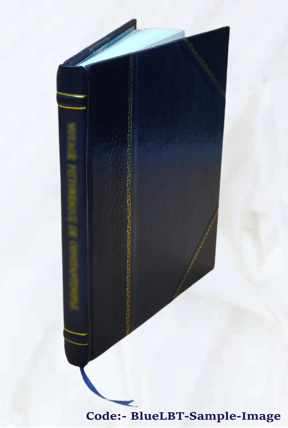 Mathematical essays and recreations B53004