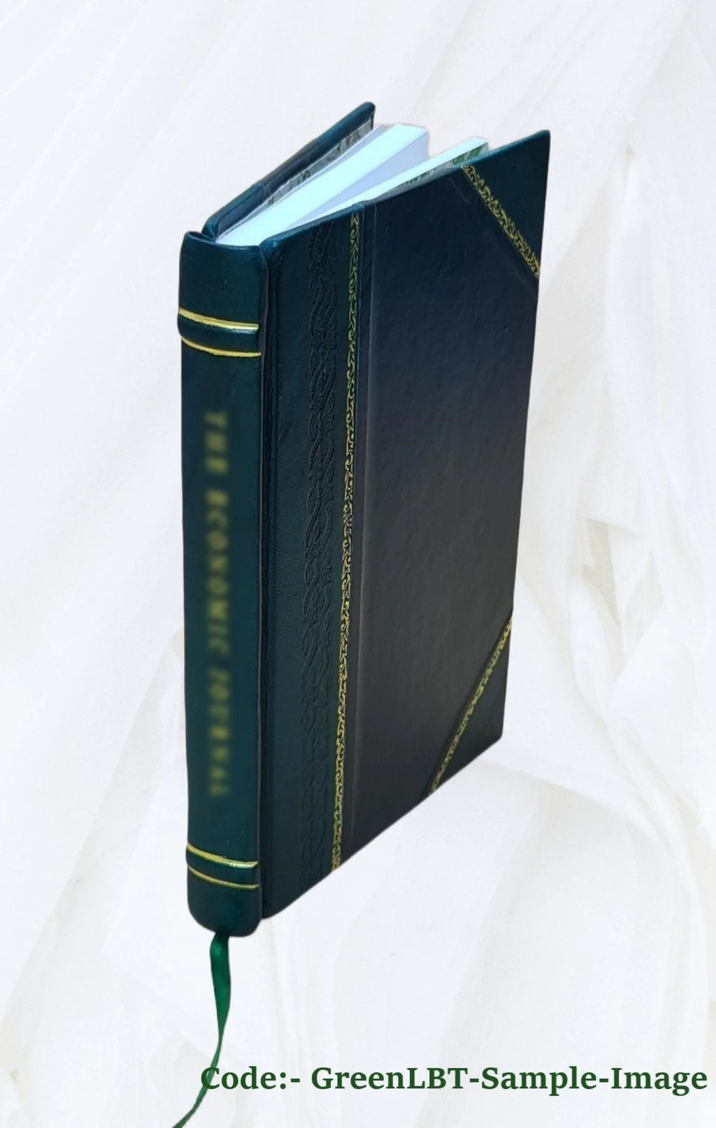 Mathematical essays and recreations B53004