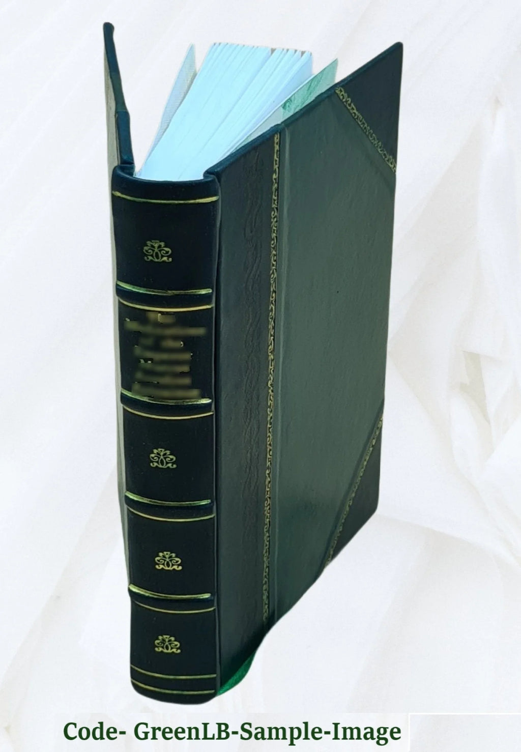 Mendelian Heredity Y84262