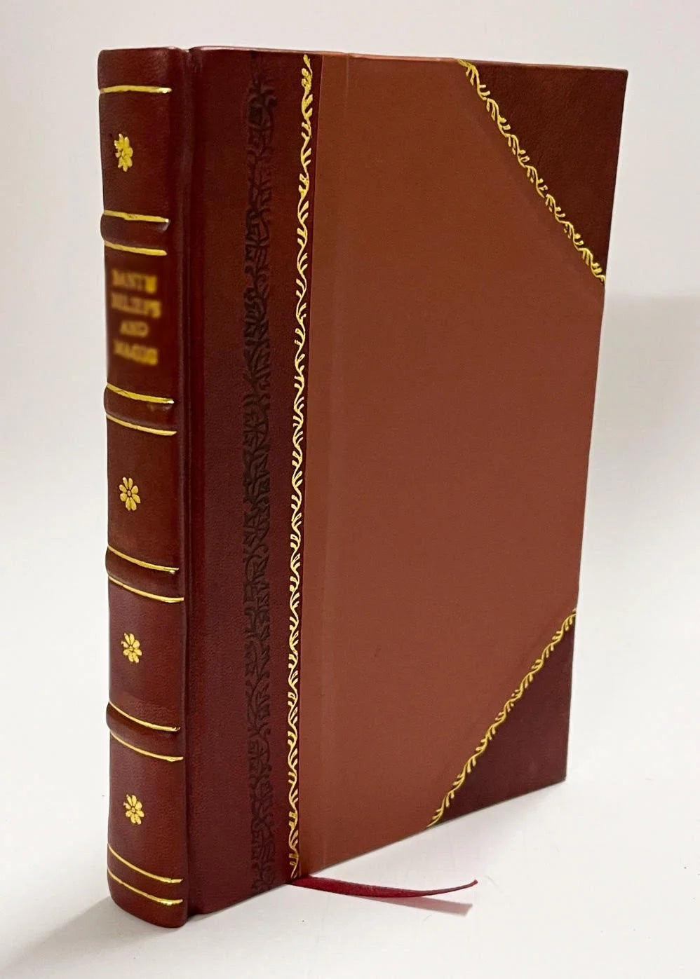Leather Bound Book T561