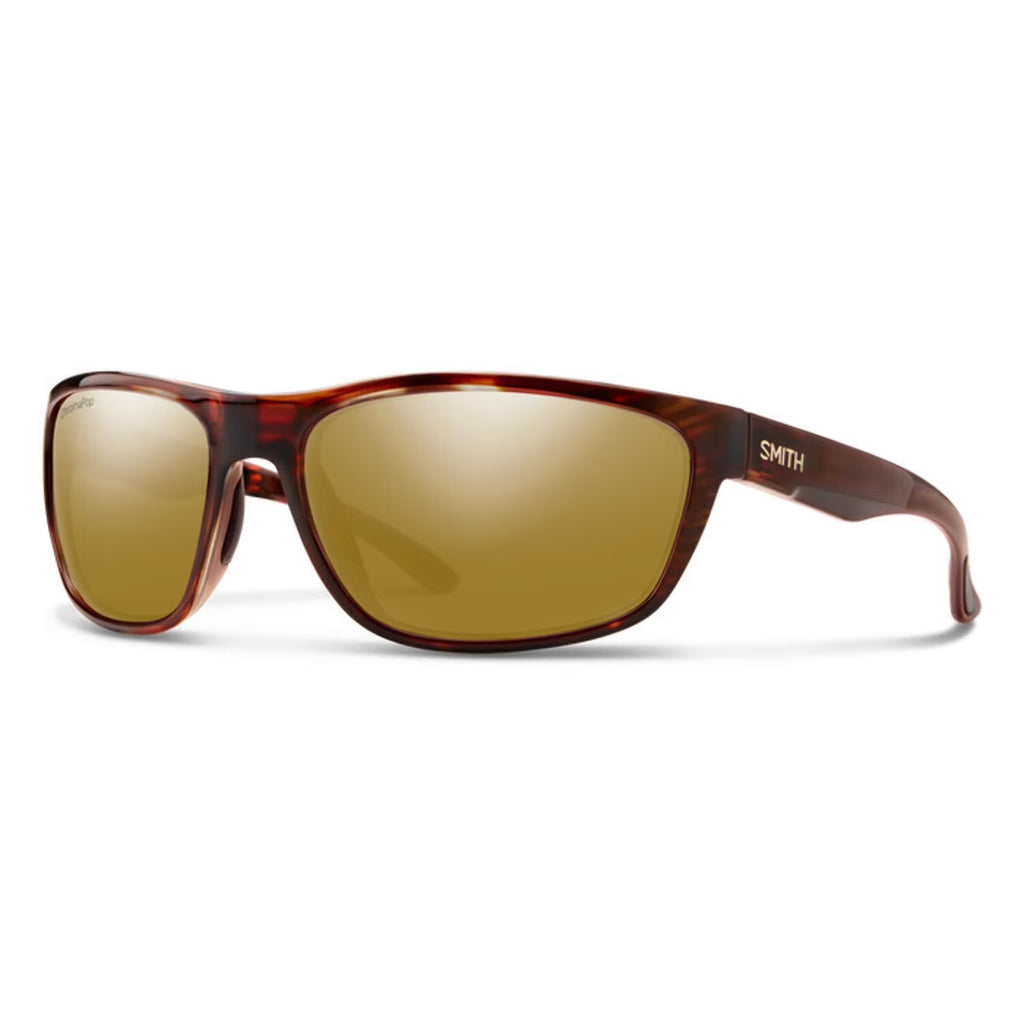 Tortoise 2022 S391590