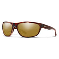 Tortoise 2022 S391590