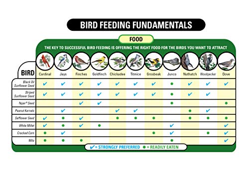 20-Pound Bag Wild Bird Food Y33578