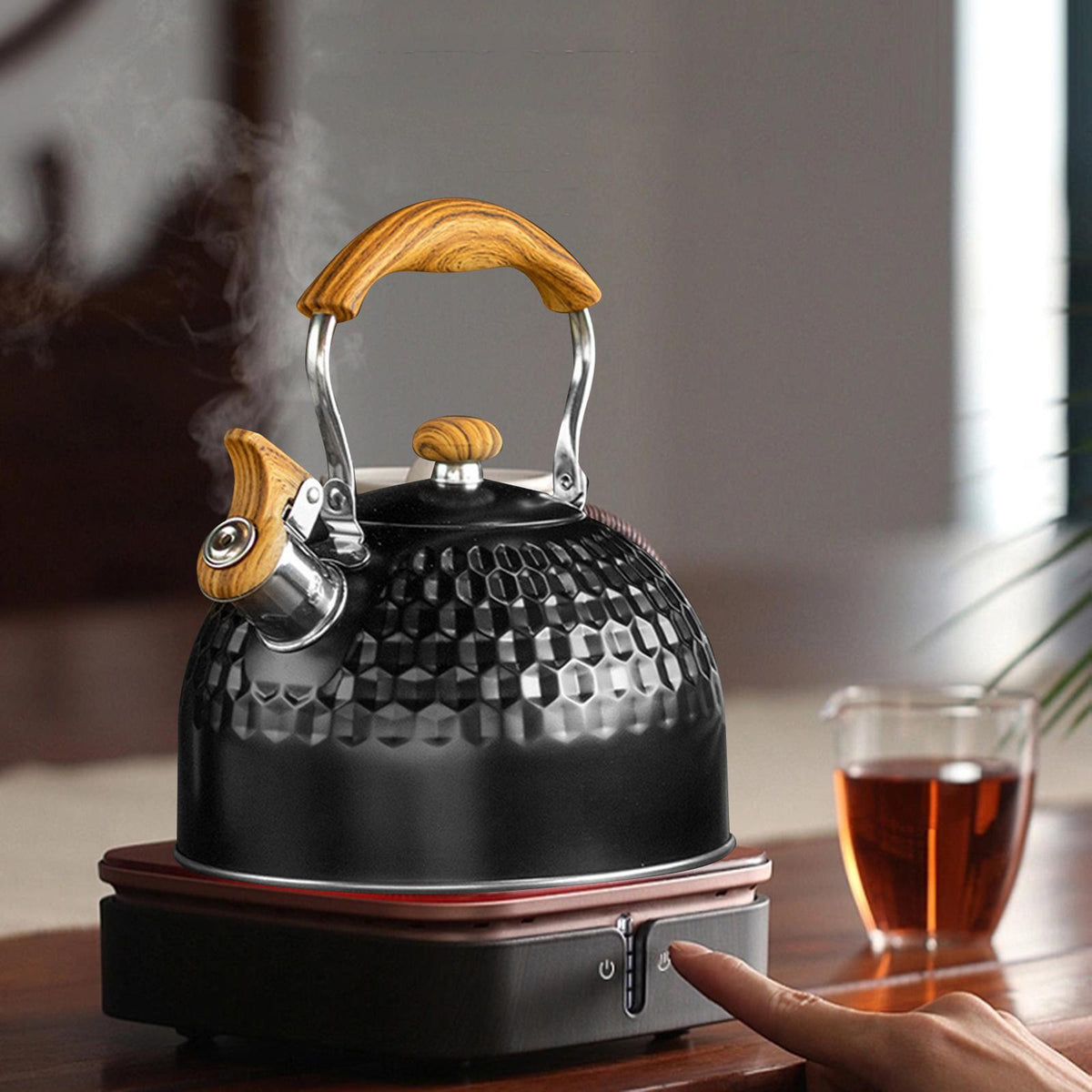 Tea Pot for Gas Electric H5441