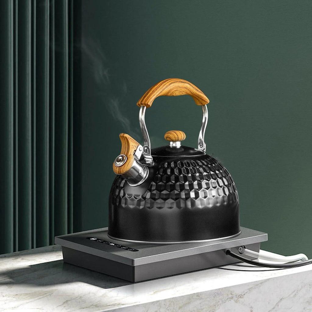Tea Pot for Gas Electric H5441