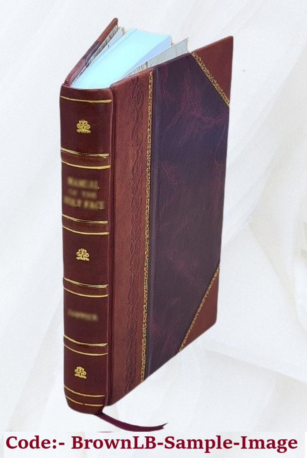 Mary Hollis: a Romance of the Days of Charles II and William, Prince of Orange, v.2, Leather Bound I24576