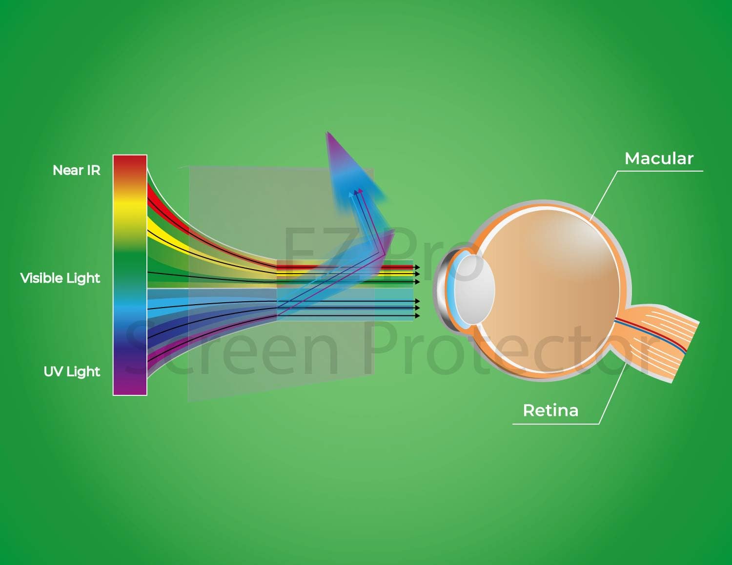 Anti Blue Light Screen Filter for 21 and 22 Inches Widescreen Desktop Monitor, Pack of 2 B48564
