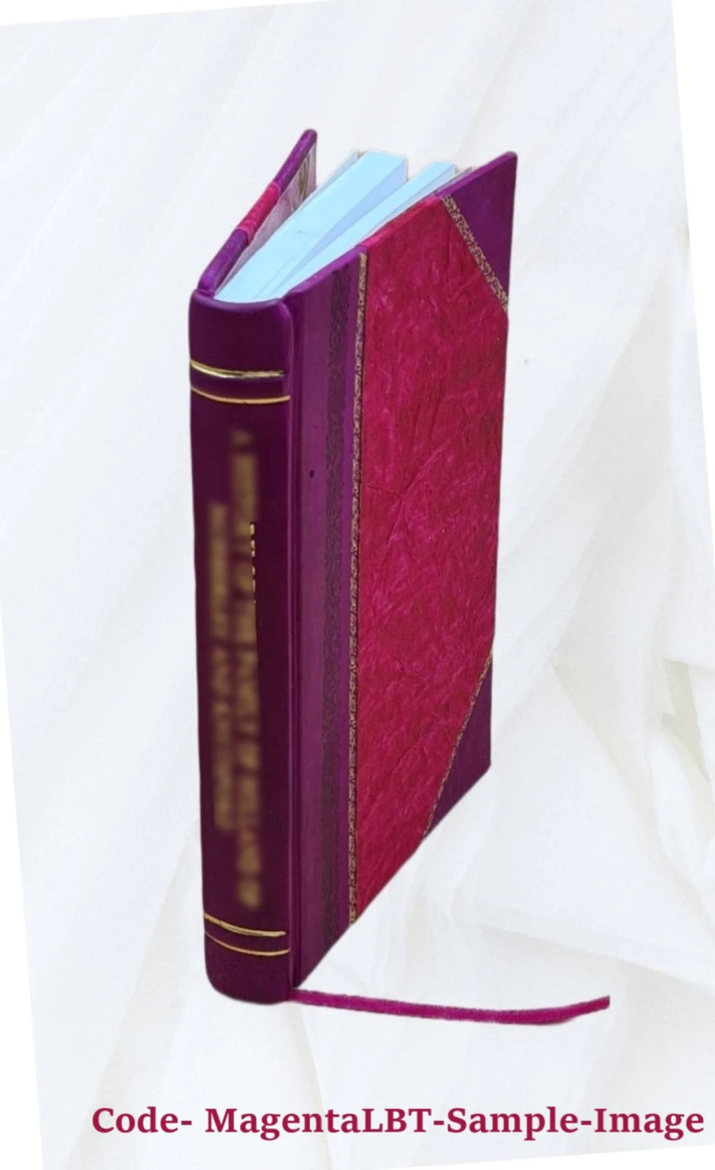 Mathematical essays and recreations B53004