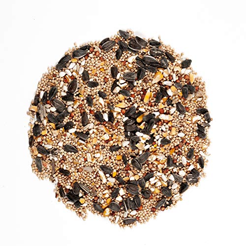 20-Pound Bag Wild Bird Food Y33578