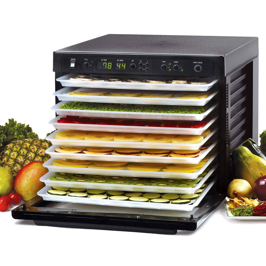 Raw Food Dehydrator Q4592