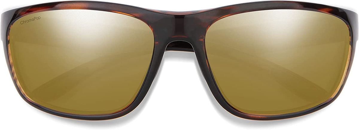 Tortoise 2022 S391590