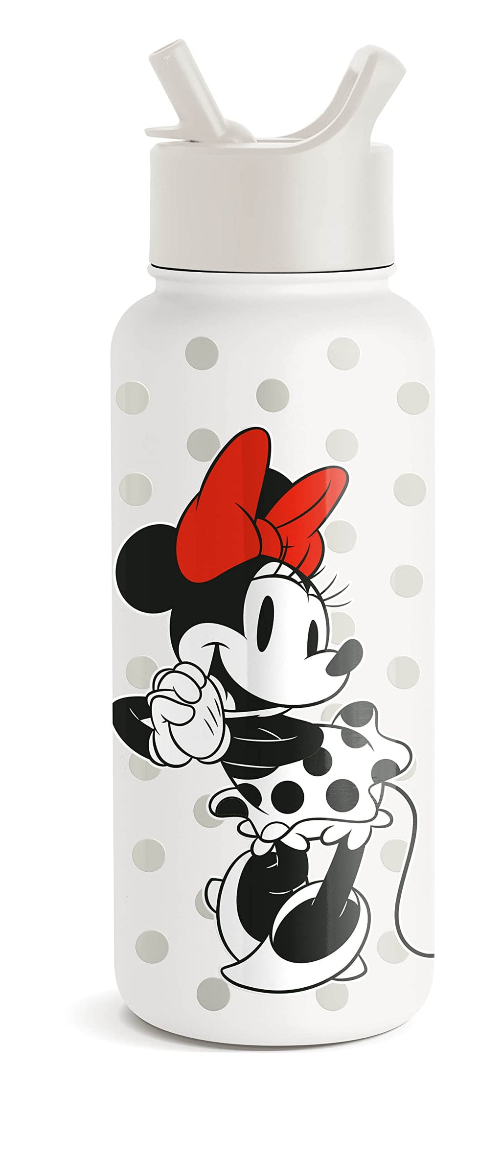 32oz Insulated Stainless Steel Water Bottle with Straw Lid T152