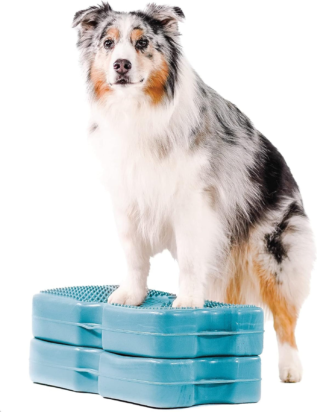 Gray 2-Pack Canine Conditioning Equipment S936