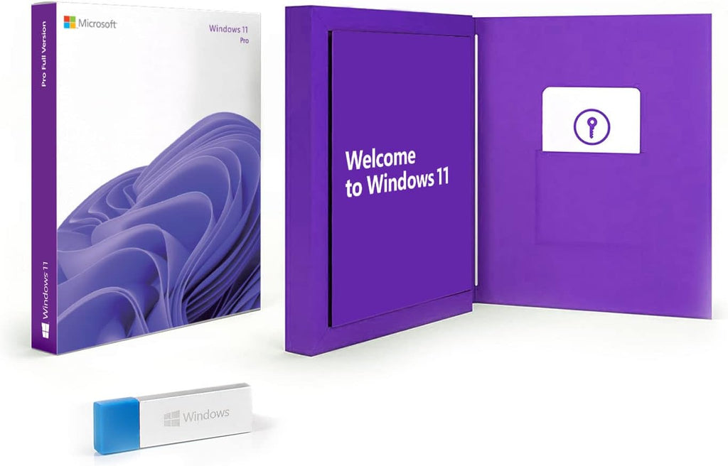 11 Pro 2022 Version E6373