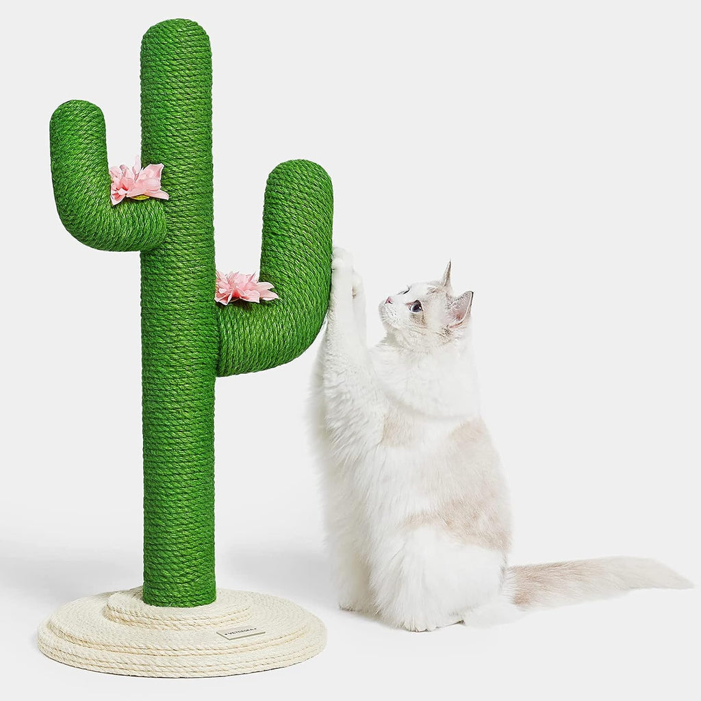 Cat Cactus Scratching Post with Natural Sisal Rope J554677