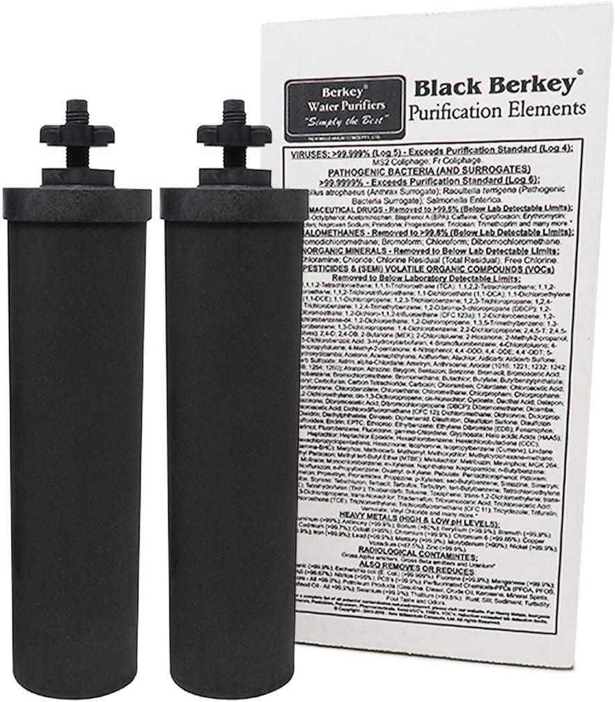 Gravity-Fed Water Filter with 2 Black Berkey Purification Elements J9418
