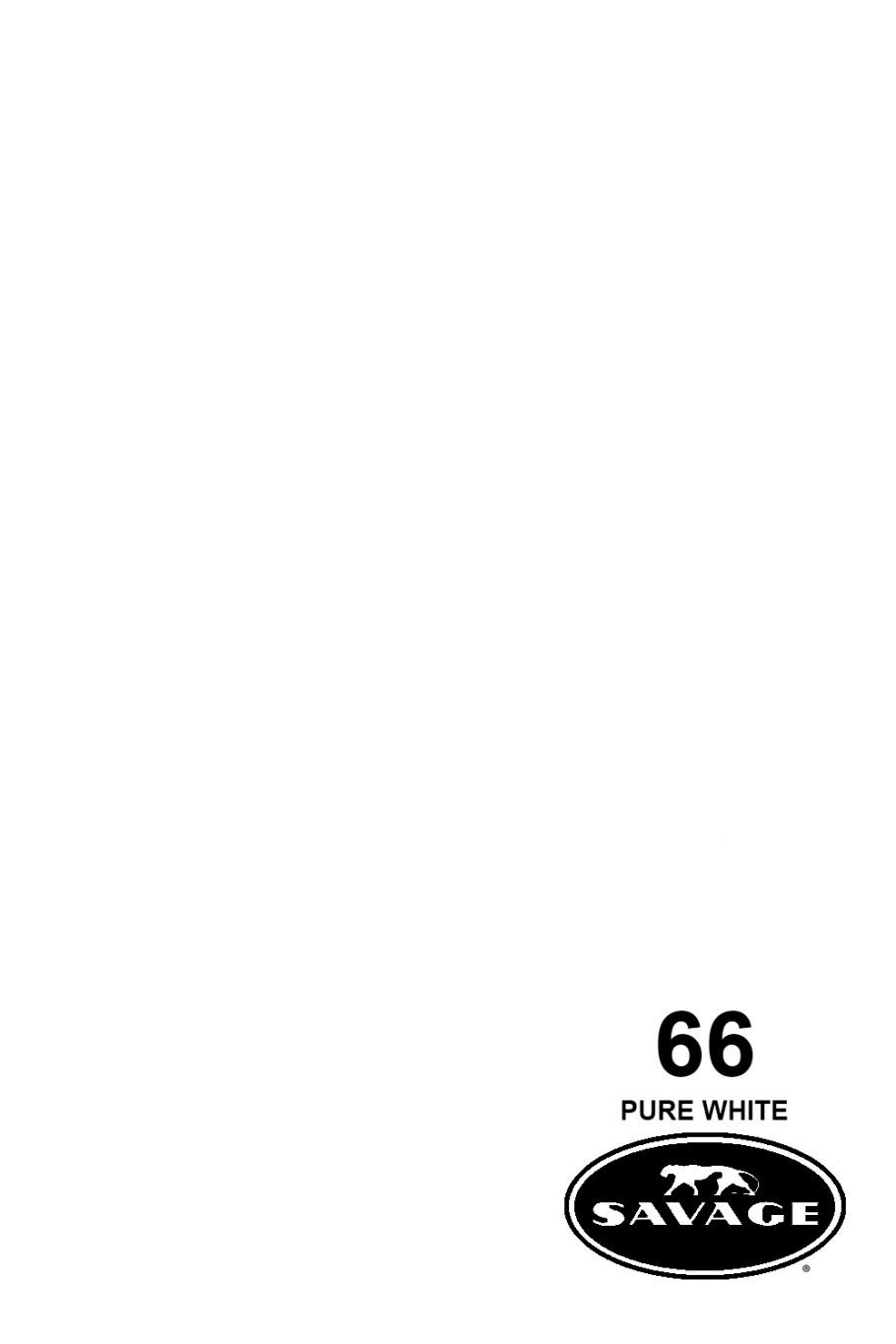 Seamless Background Paper X260179