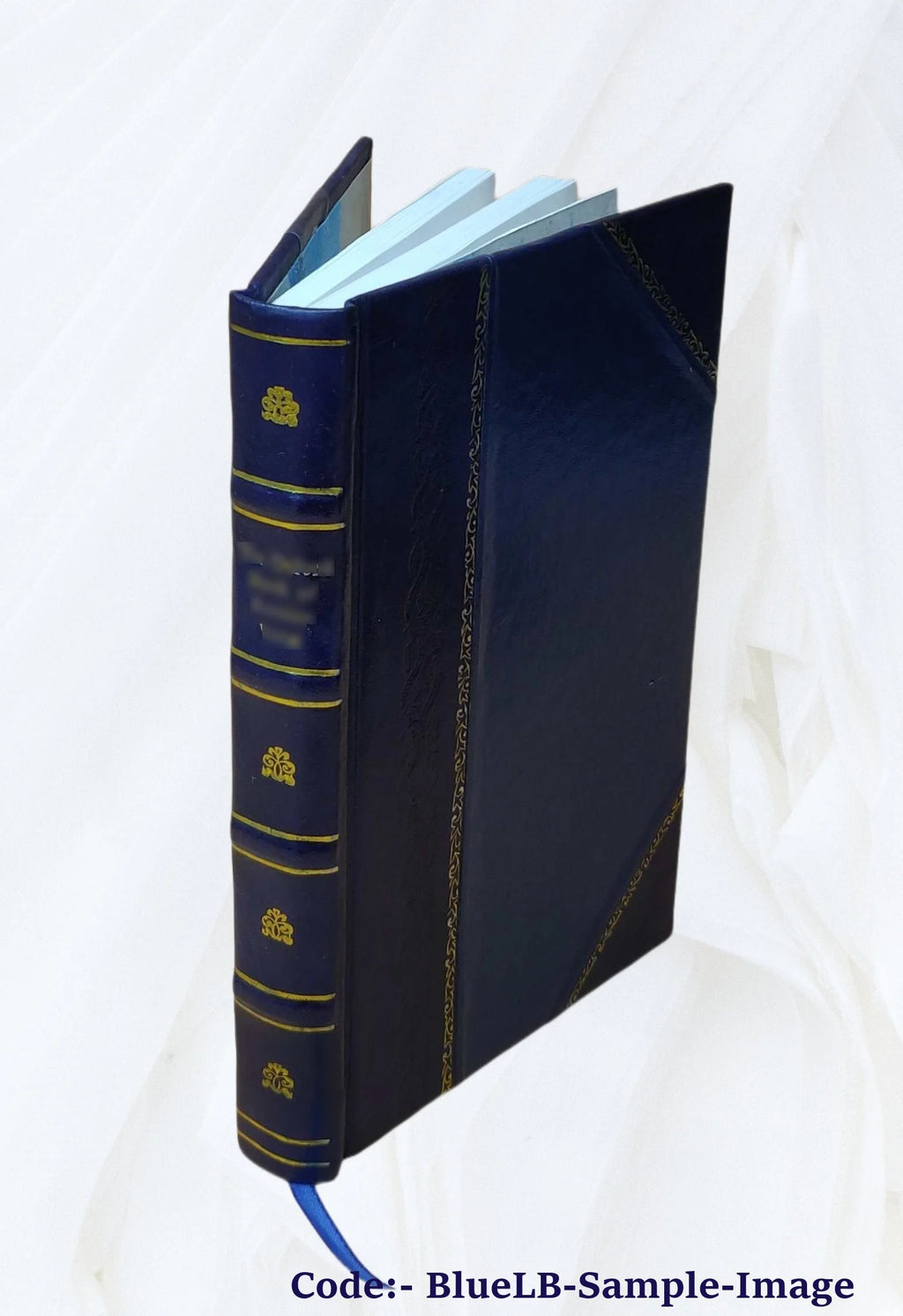 Mary Hollis: a Romance of the Days of Charles II and William, Prince of Orange, v.2, Leather Bound I24576