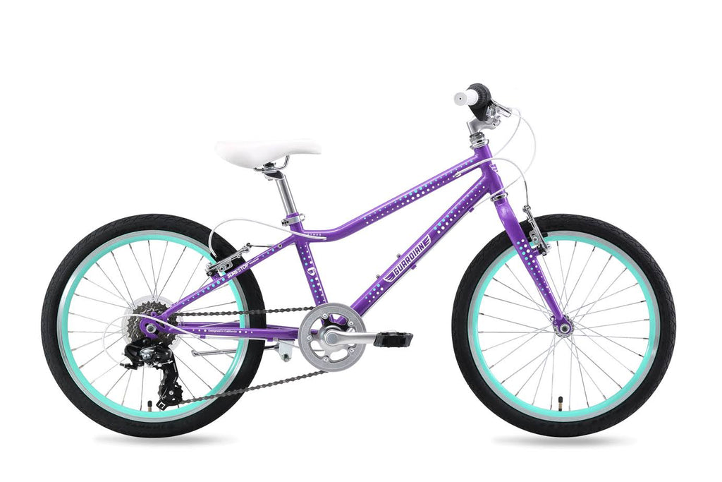Purple/Aqua Kids Bike T599