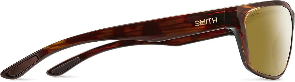 Tortoise 2022 S391590