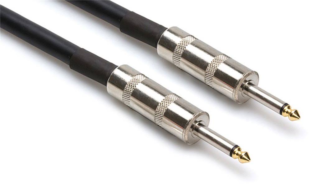 1/4 TS Speaker Cable 100ft N341