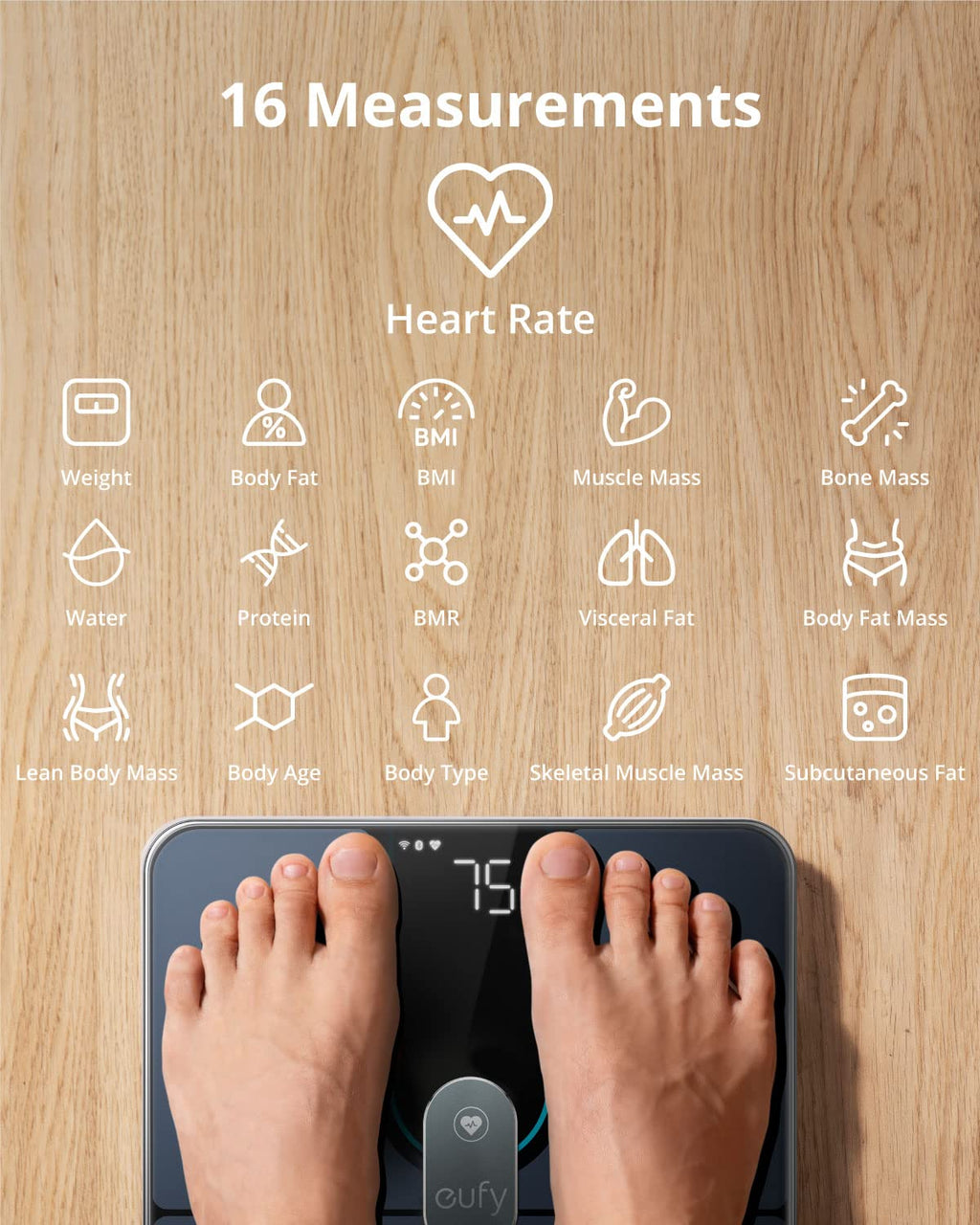 Smart Scale with Wi-Fi Bluetooth, Pack of 2 M56961