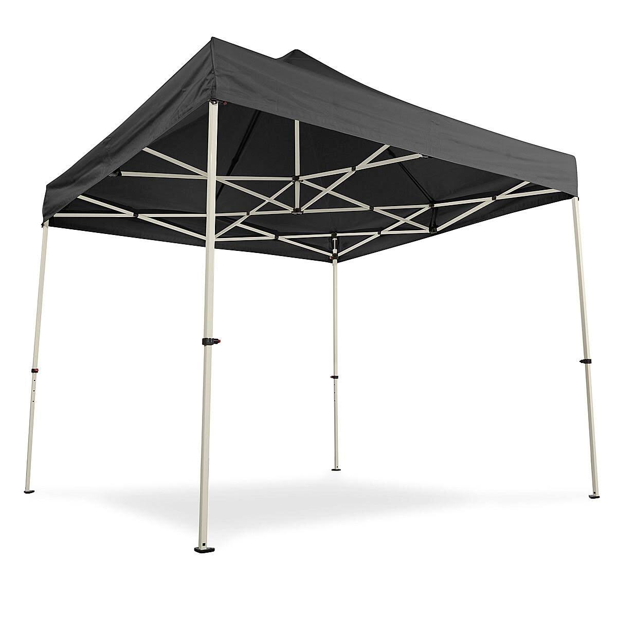 Black 10 x 10' Steel Frame Canopy H124