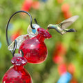 Red Hanging Glass Hummingbird Feeder O68158