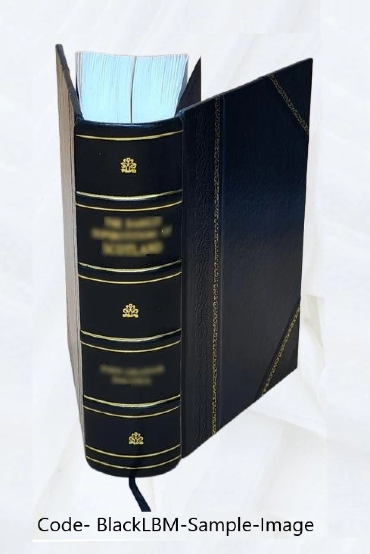 Leather Bound Book Q807