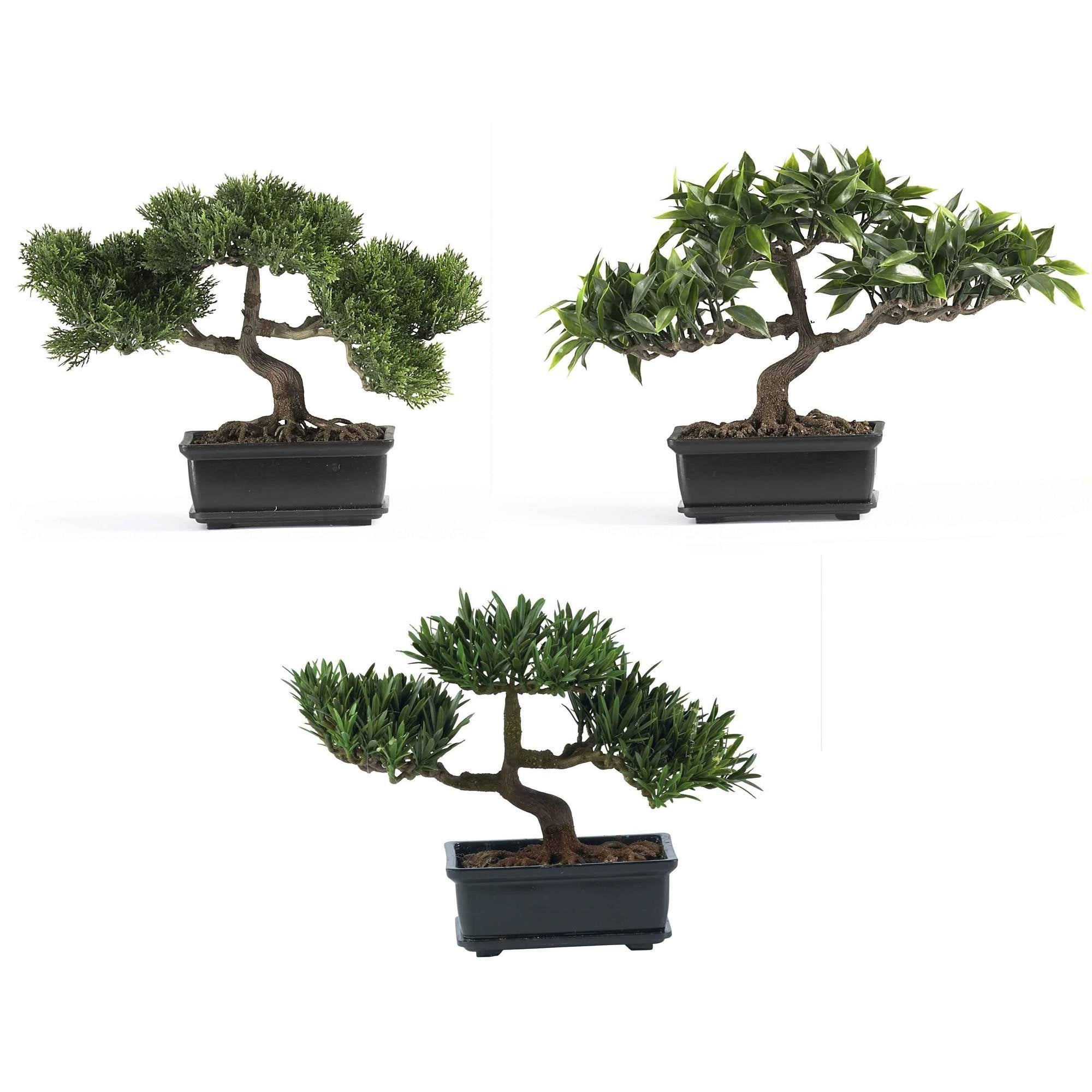 Silk Plant Collection (Set of 3) T495