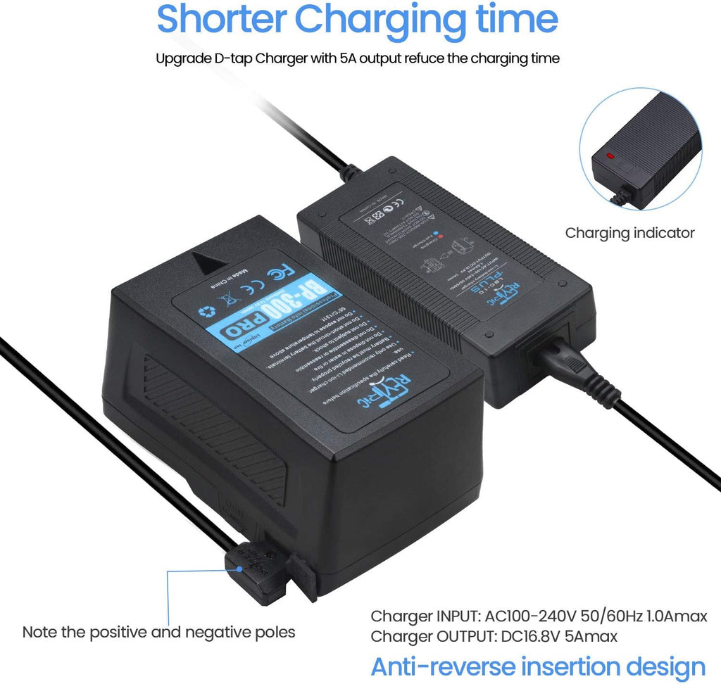 300Wh V Mount Battery with D-Tap Charger and Cable L121876