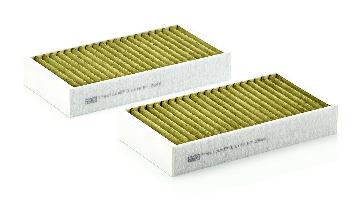 Cabin Air Filter Set R994663