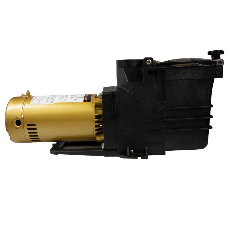 1.5 HP Inground Pool Pump T132848