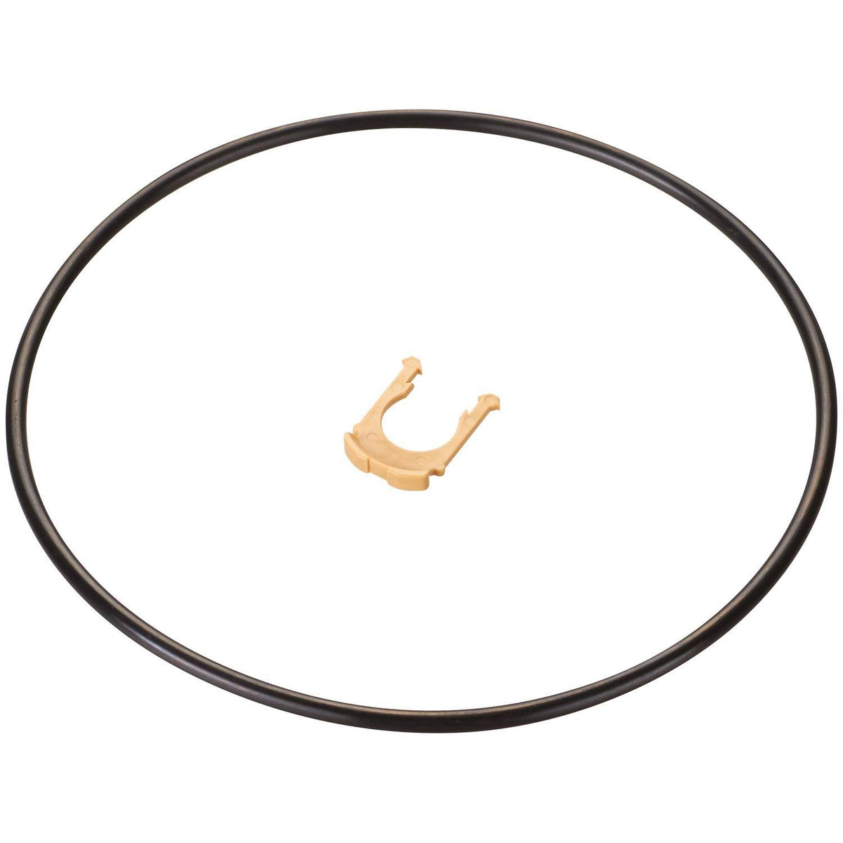 Fuel Pump Module Assembly F974