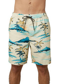 Bone Palm Trees Board Shorts H88647