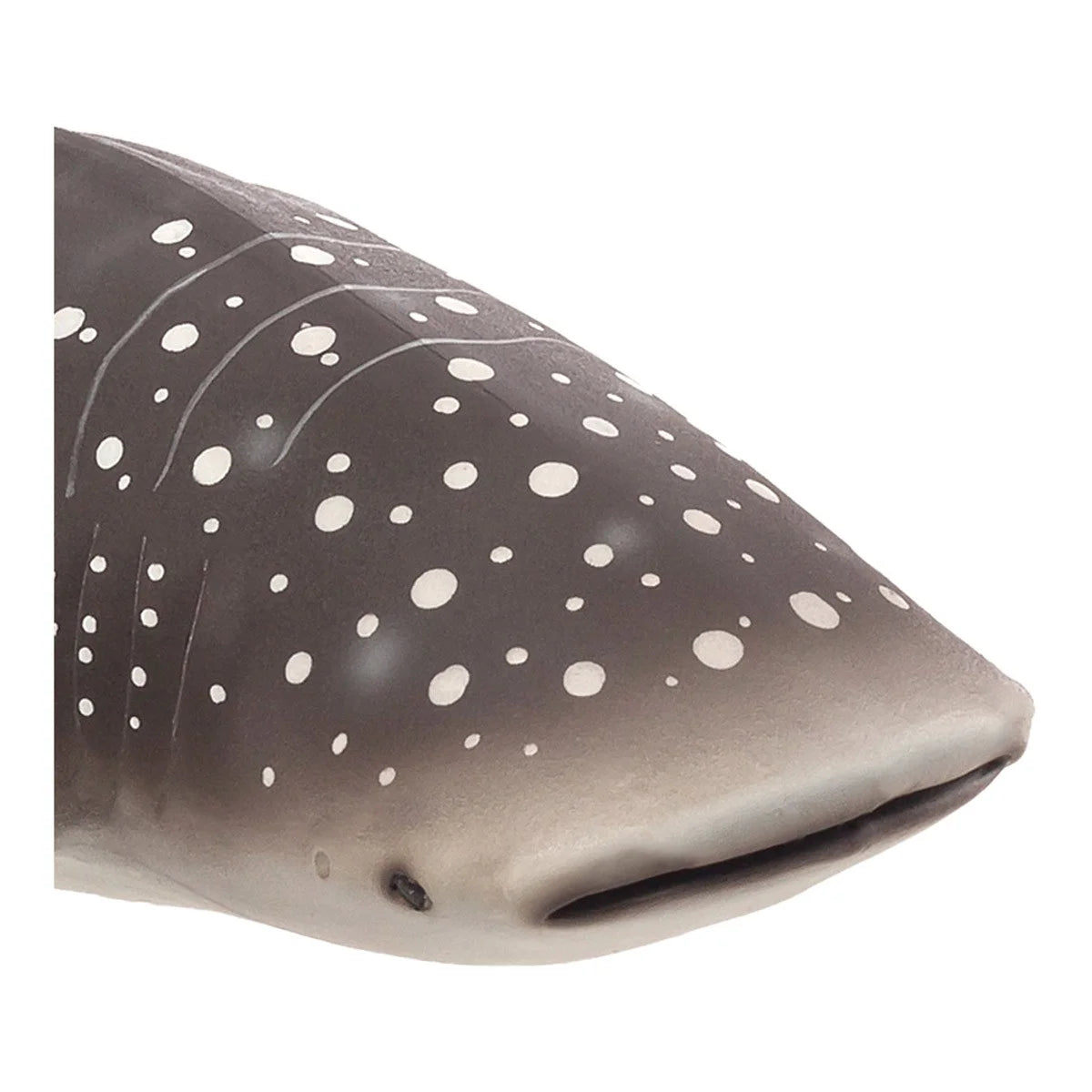 Whale Shark Wildlife Figurine X3049