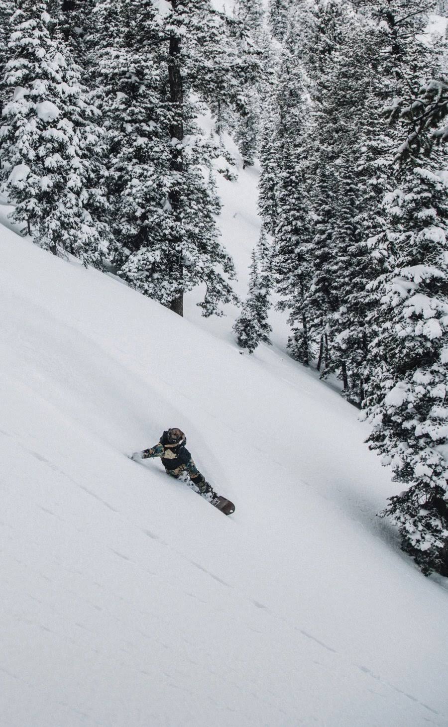 Arbor Camber Snowboard F3846