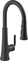Matte Black Pull-Down Kitchen Sink Faucet D4485